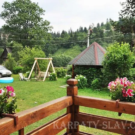 ромашка Romashka Slavske