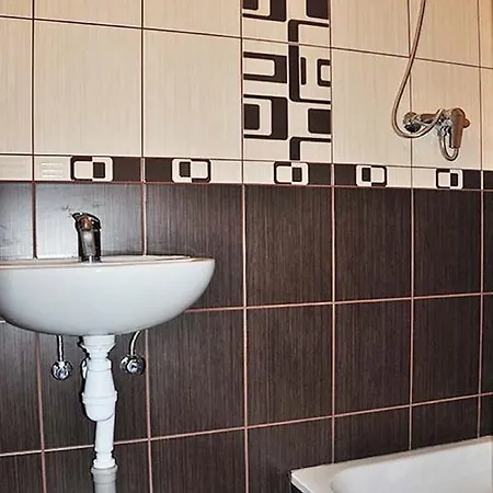 ромашка Romashka Slavske