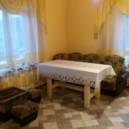 ромашка Romashka Slavske