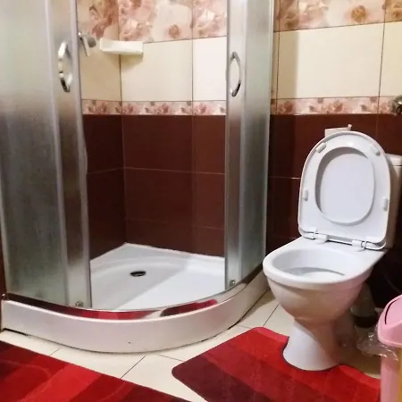 ромашка Romashka * Slavske